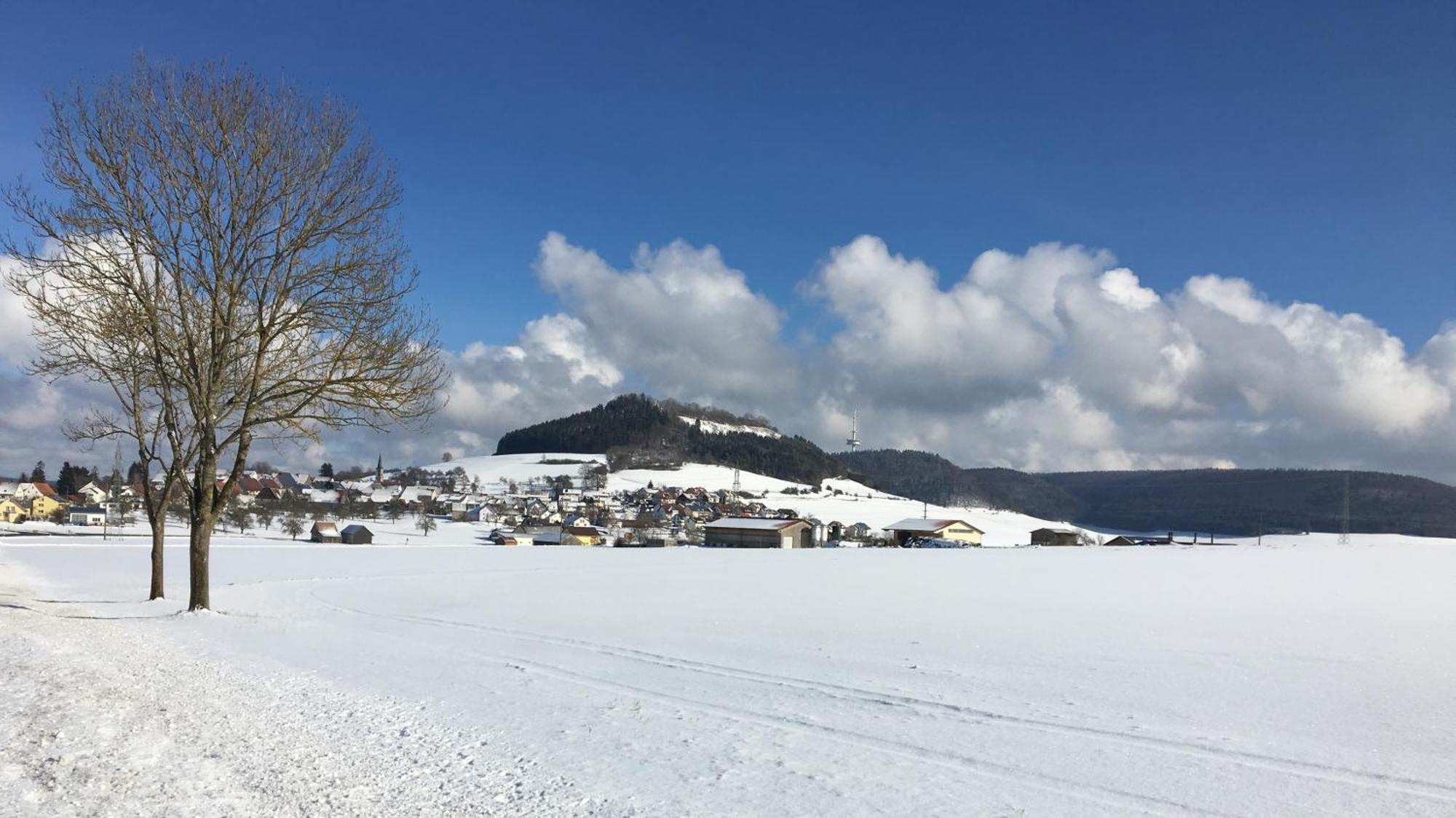 Hotel Roessle Furstenberg  Bagian luar foto